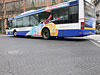 Bus lines CreaPrint Eurofan Pattern